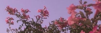 Jakees_'s profile banner image