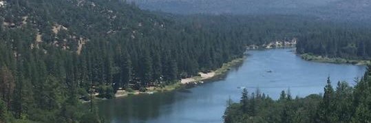 Tracie Hiller banner