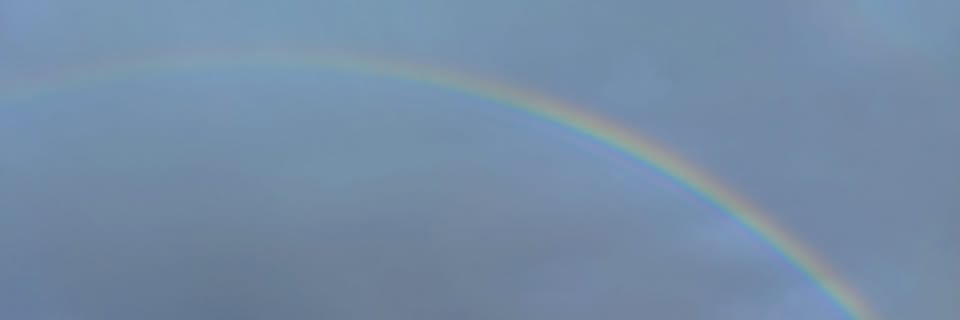 martadelro_'s profile banner image