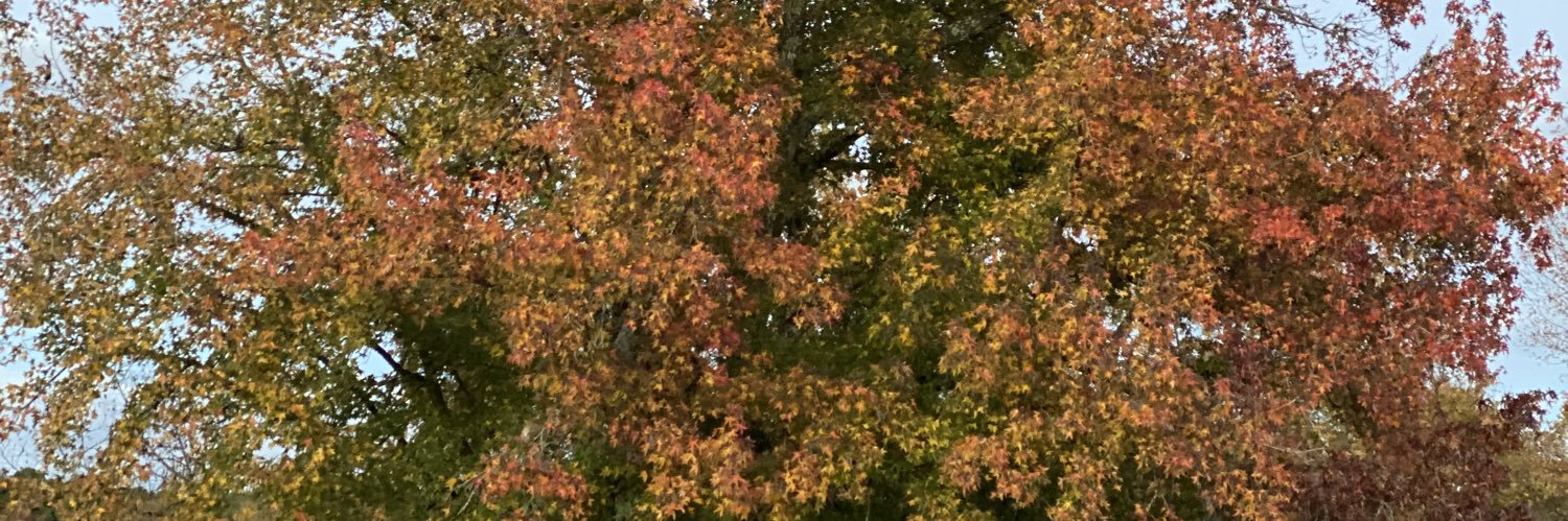 dgoings1's profile banner image