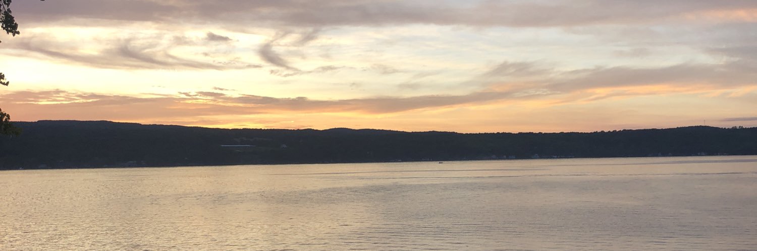 TaylorCappelli's profile banner image