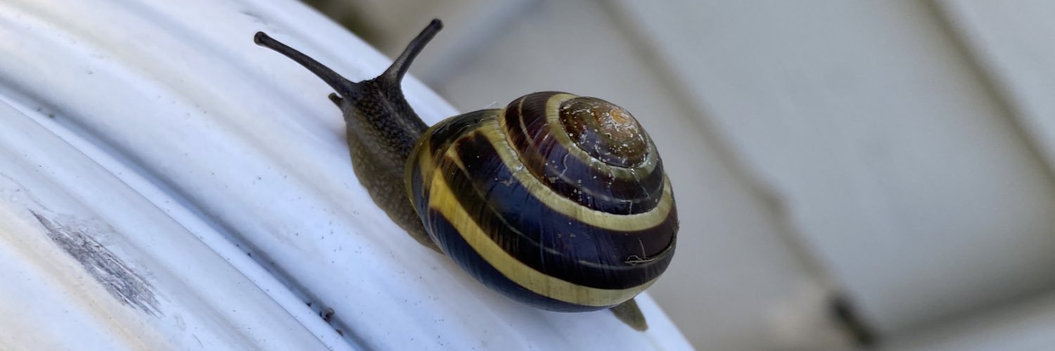 Mohammed Alotaibi محمد العتيبي banner