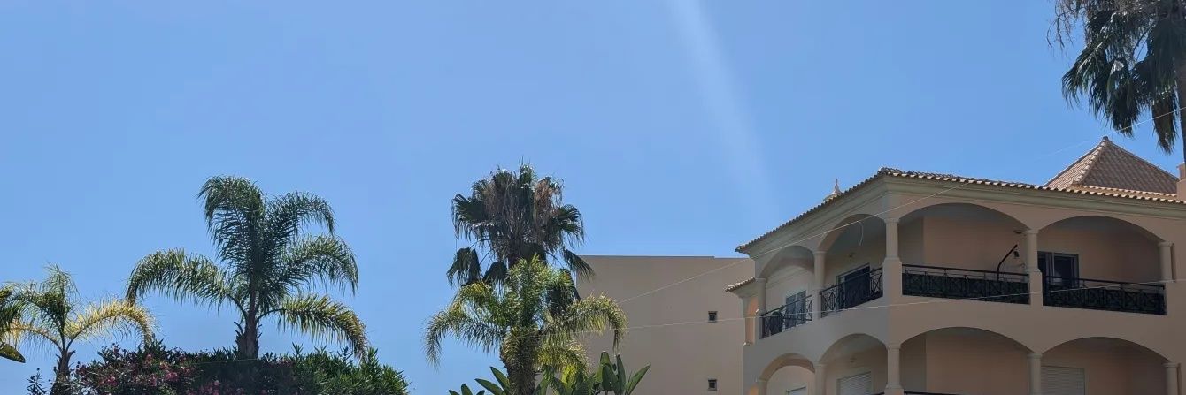 Sinead Grace Design banner