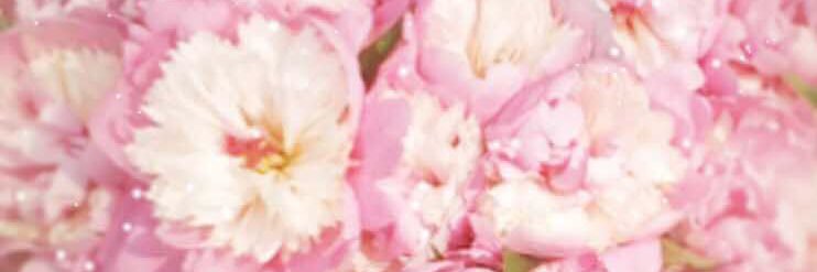 08193191y's profile banner image