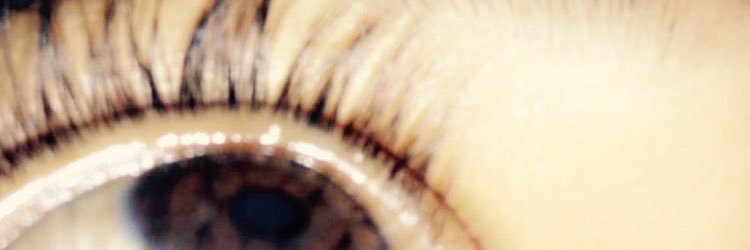 Nicollemt1's profile banner image