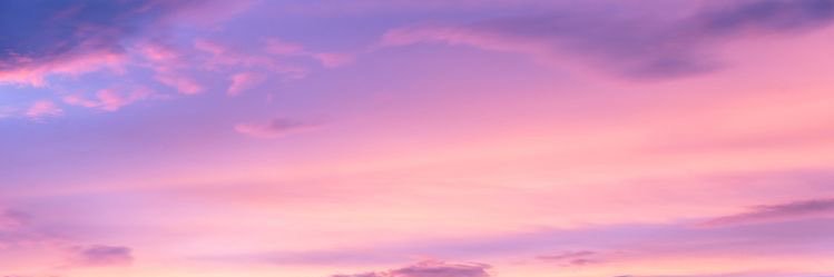 perlyconde's profile banner image