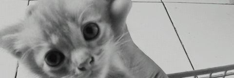 mariaul14's profile banner image