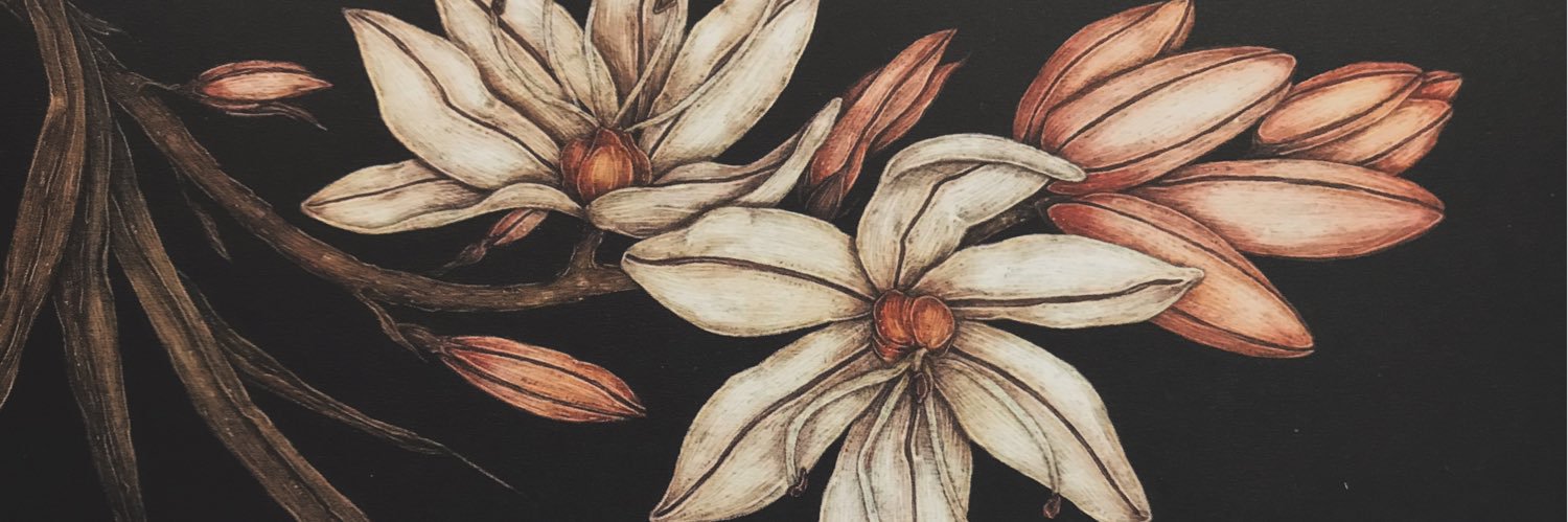 MegaraDeLaMer's profile banner image
