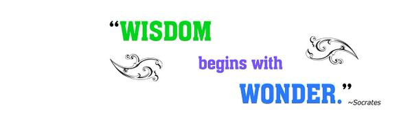 81PSD Profile Banner