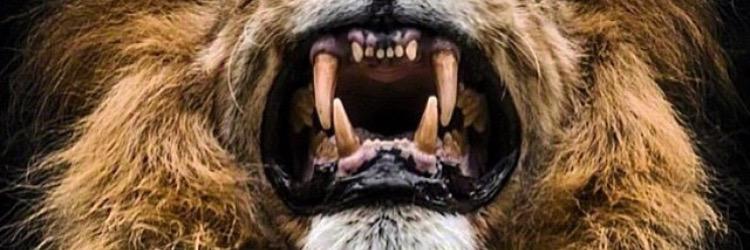 SalamaMQ's profile banner image