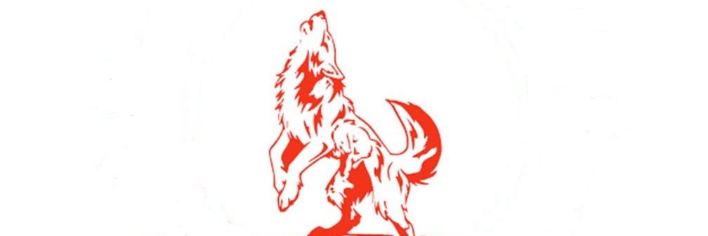 OVAHSwolves's profile banner image