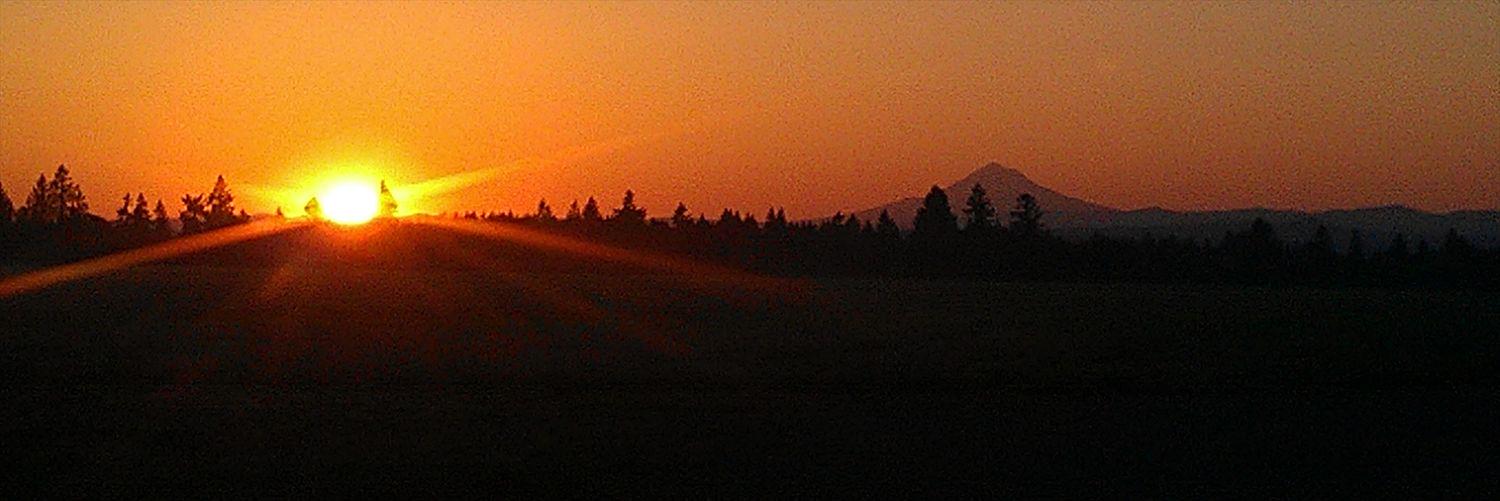 Terry_Shockley's profile banner image