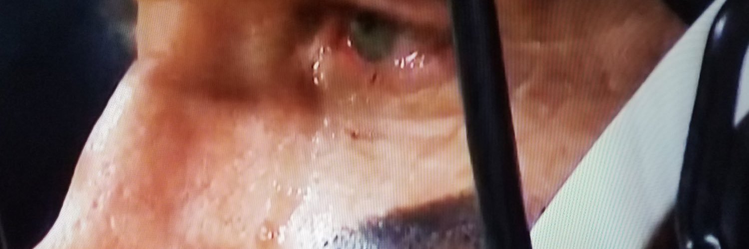suckmywake_'s profile banner image