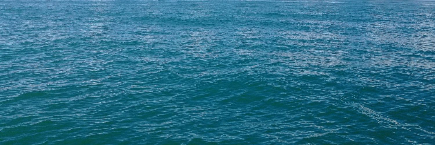 RestecheveR's profile banner image