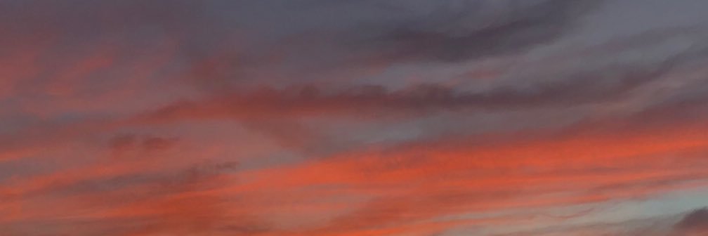 corathexplorer's profile banner image
