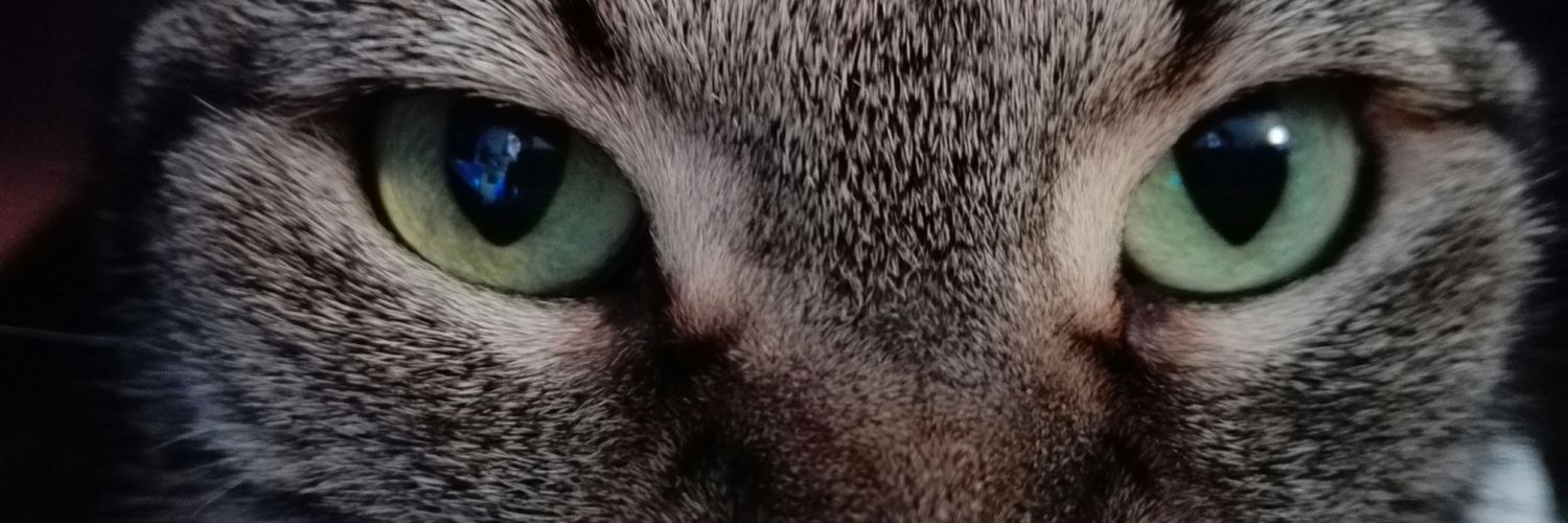 Yes7Z's profile banner image