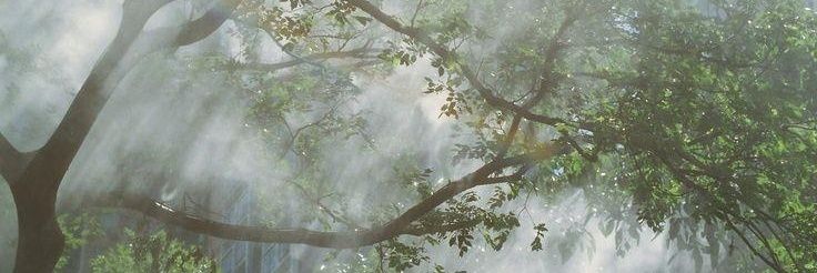 salihadeger's profile banner image