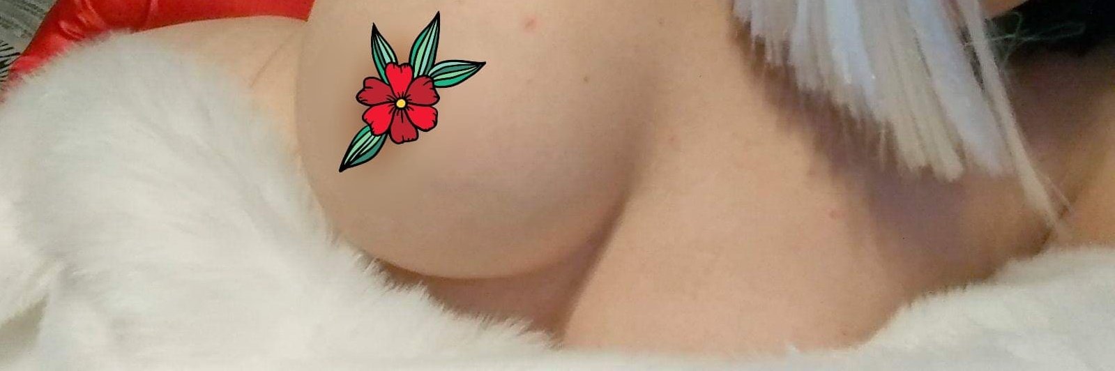 TheLunaSilver's profile banner image