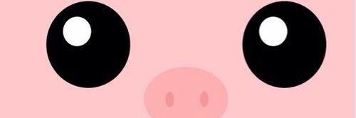 Katt_Mur's profile banner image
