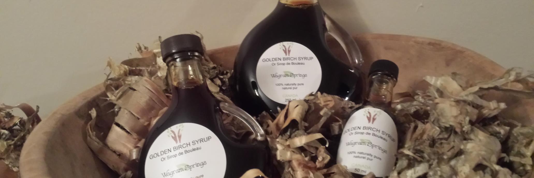 Wagram Springs banner