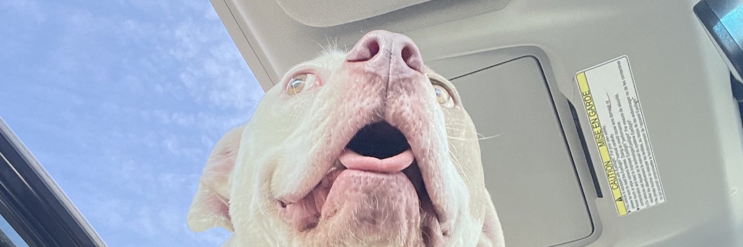 spicy potato soft taco banner