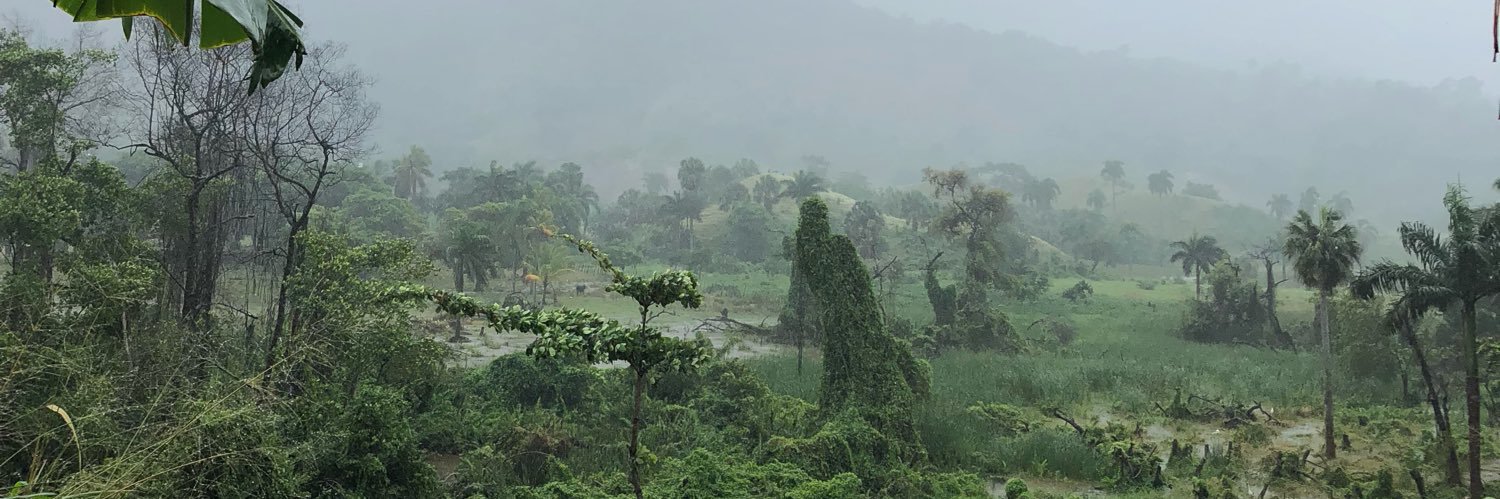 Jason_Ginger_'s profile banner image