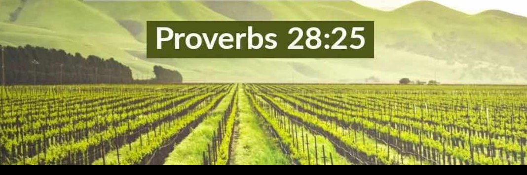 johnbirdwatcher's profile banner image