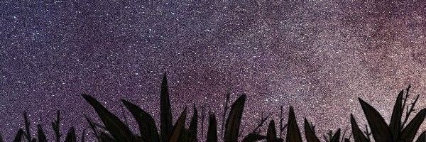 sidoniamckenzie's profile banner image