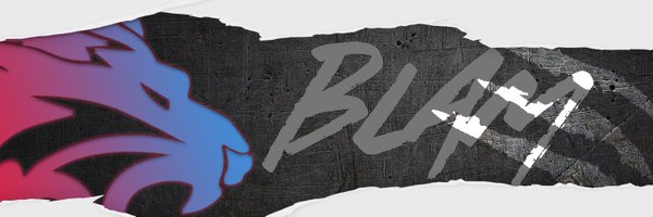 blaM_13 Profile Banner