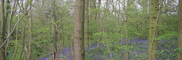 NormaSaunders Profile Banner