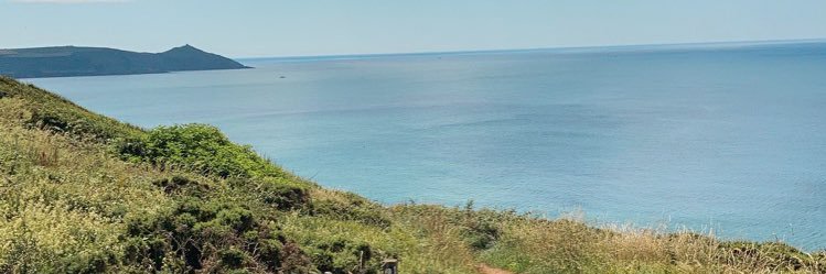 Lauren Johnson banner