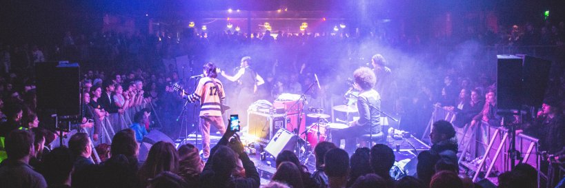 FLUFFER PIT PARTIES banner