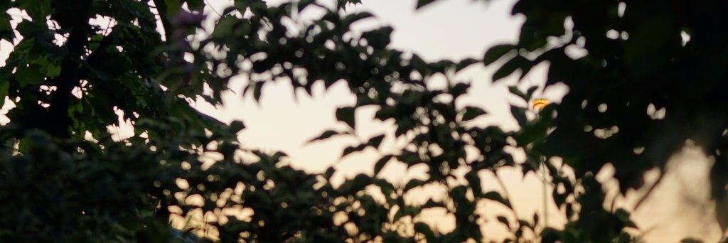 xiaowj1989's profile banner image