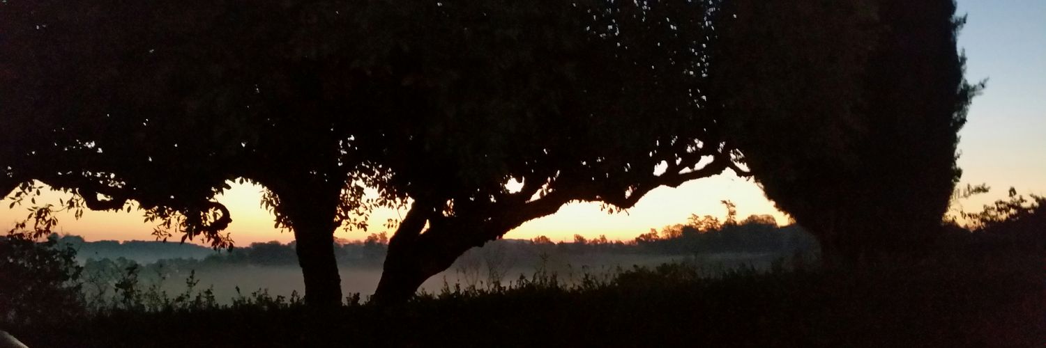 LaraStubbs's profile banner image