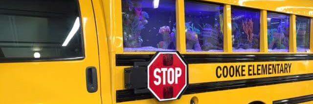 Cooke Elementary banner