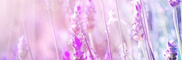 qw0824's profile banner image