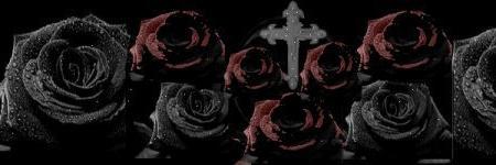 do banner