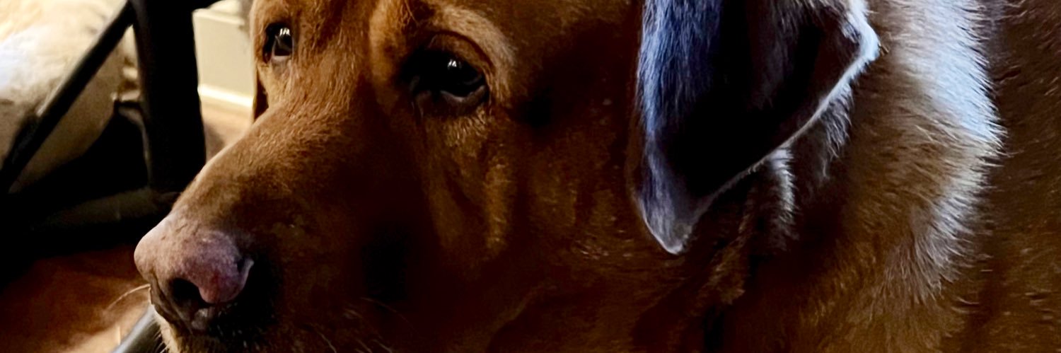 Dueller6's profile banner image