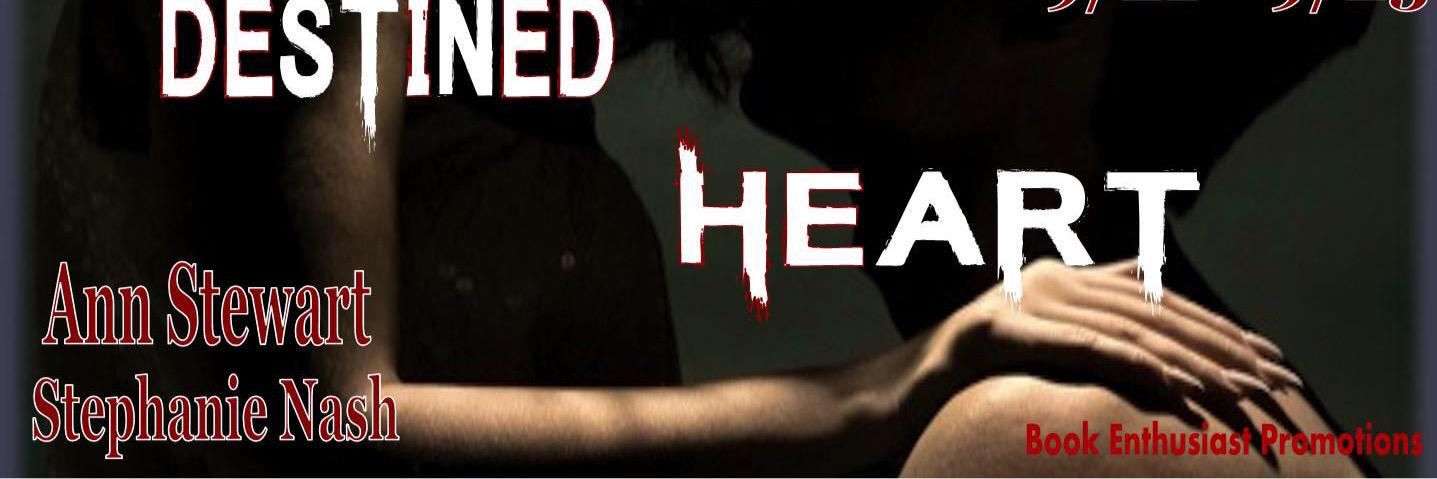 AStewartSNash's profile banner image