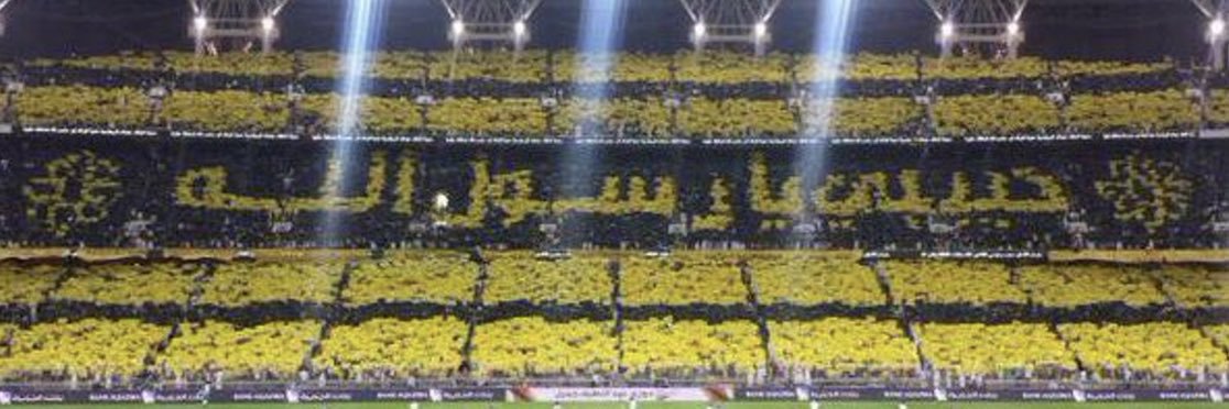 🐅The Tiger🐅 banner