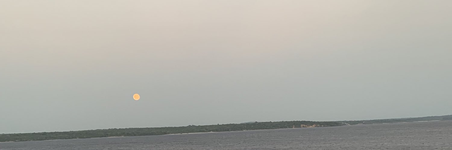 rafaelaamotta's profile banner image