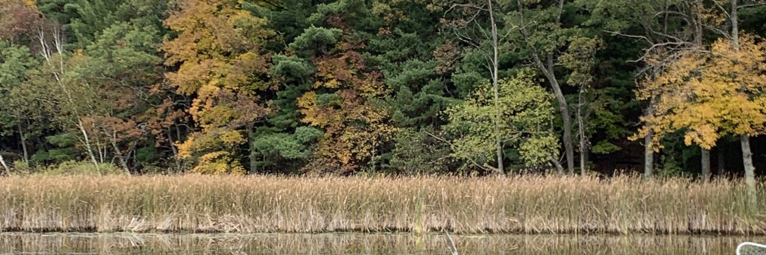 ldtchr's profile banner image