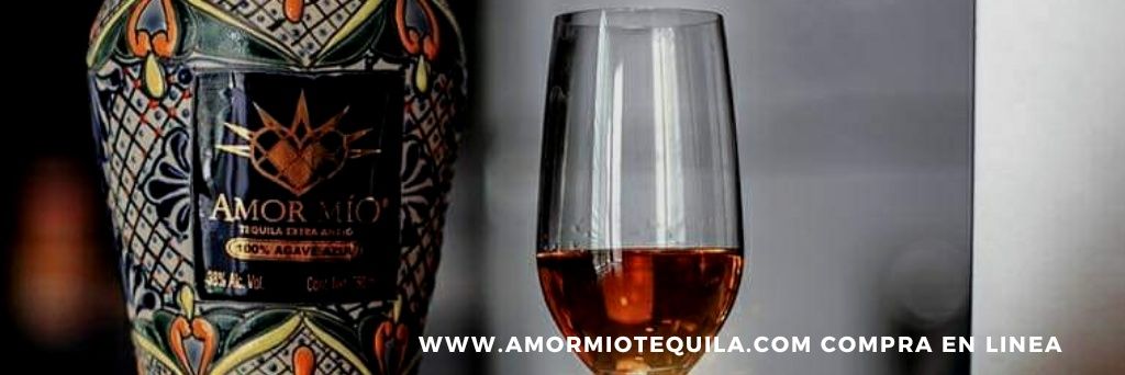 tequilamormio's profile banner image