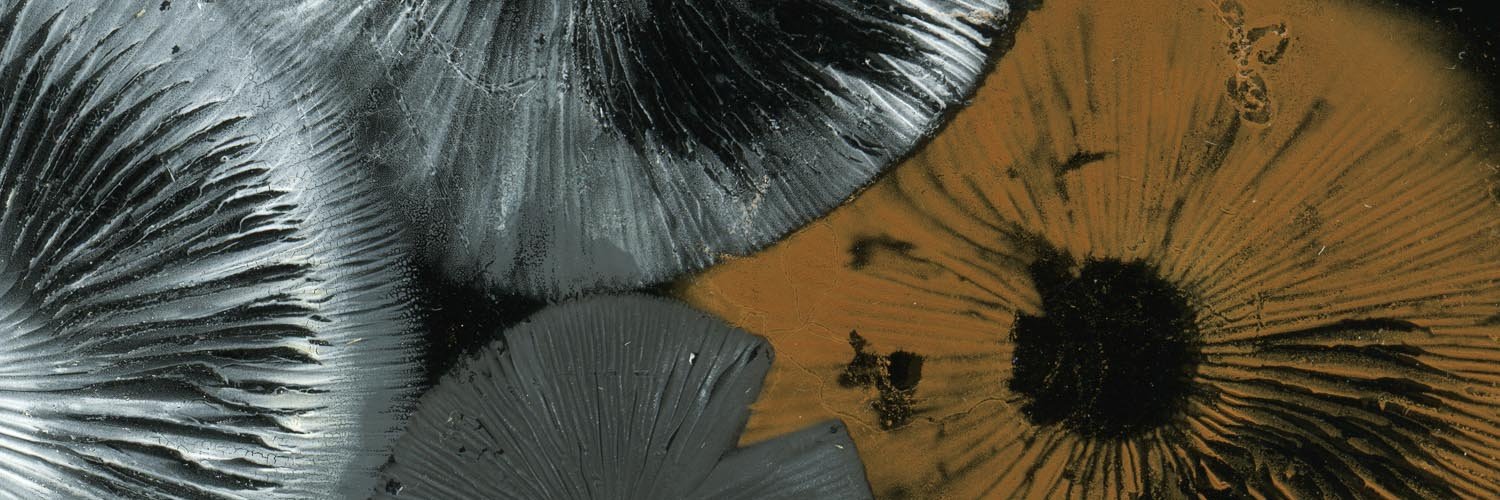 Christine Klassen Gallery banner