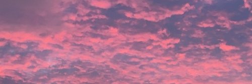 JaneP_bcds's profile banner image