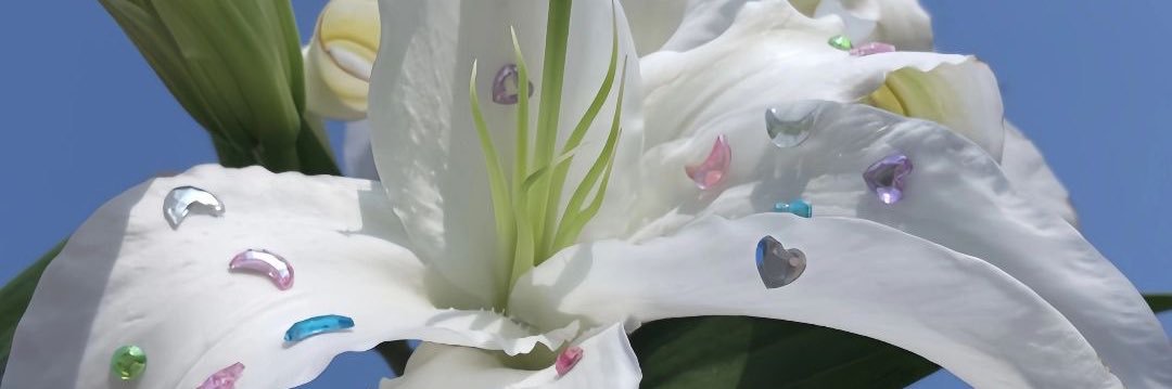 anicegemini's profile banner image