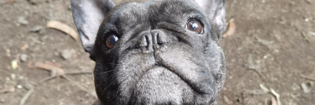 Selomit96's profile banner image