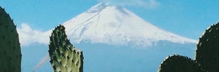 mahrloon's profile banner image