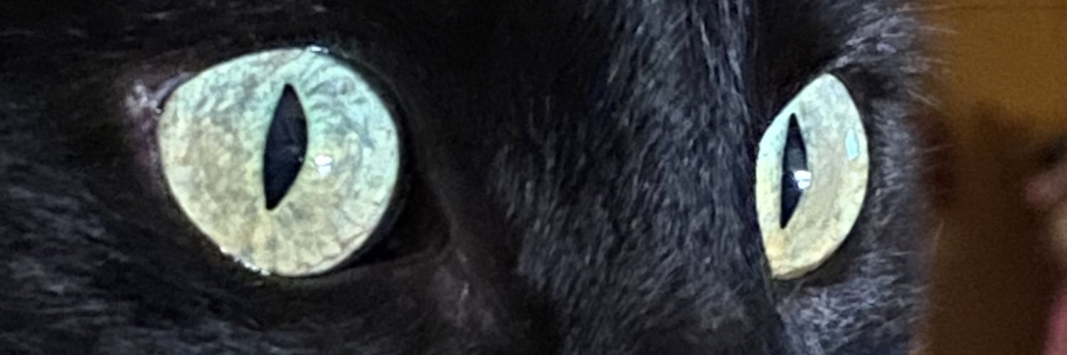 nathalierueda77's profile banner image