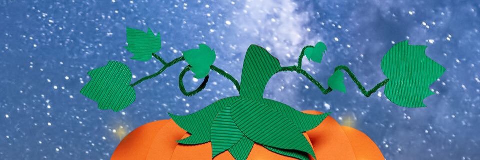 Allibaabeexx3's profile banner image
